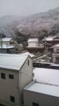 20110211121345.jpg